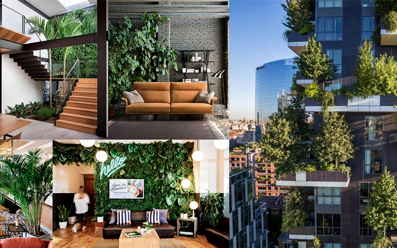 Biophilic design